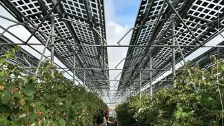 agri-pv